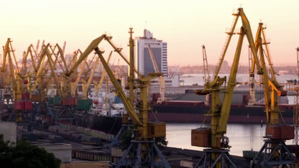 Activité portuaire de commerce maritime . — Video