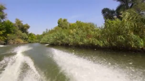 Water Splashing Behind a Motor Boat — Stock Video