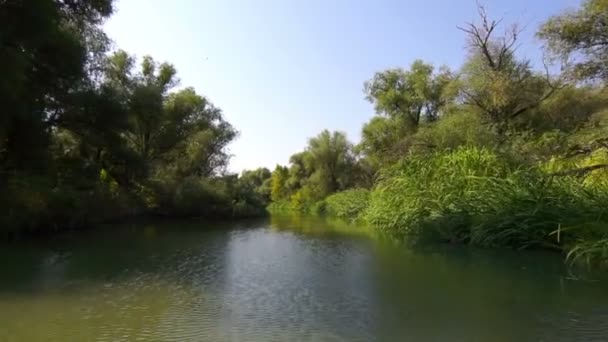 Vlucht over de rivier. — Stockvideo