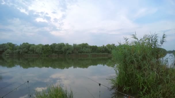 Pêche sur la rivière. — Video