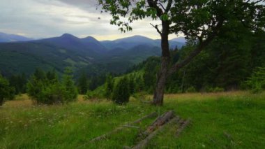 Merdivenlerde yürüyen insanlar.