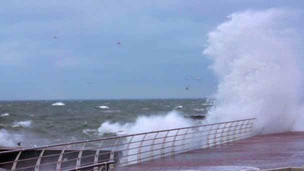 Storm on the Black Sea — Stock Video