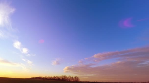 Solnedgång himlen över fältet. — Stockvideo