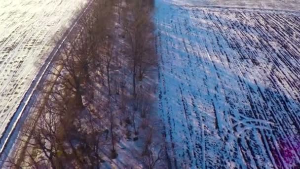 Сніг на пусті поля. — стокове відео