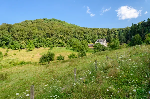 Alemania verano país paisaje con prado, bosque y una casa, fondo —  Fotos de Stock