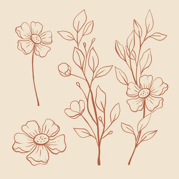 Soft Flower Lines Floral Set — Stock Vector