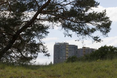 Mainz Almanya 'sında çiçekler ve çimenler açıyor