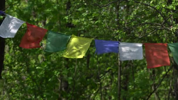 Οι σημαίες Θιβετανικό prayful χρώμα των Lungta στη σκιά από καταπράσινα δέντρα. — Αρχείο Βίντεο