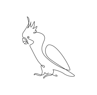 Papağan kuşu bir çizgi halinde. Özet geç. Devamlı çizgi. Vektör illüstrasyonu