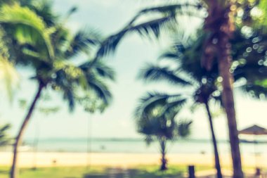 Bulanık arka plan tropik hindistan cevizi palmiyesi Sahilde yaz mevsimi ılık gökyüzü ve bulut