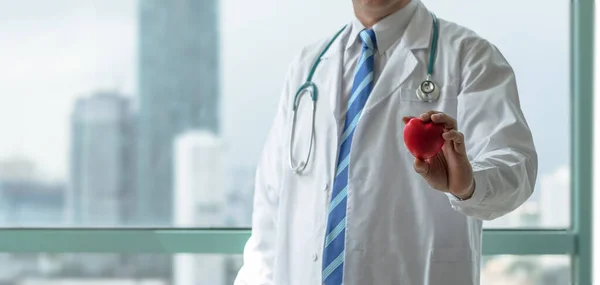 Cardiologo Medico Con Cuore Rosso Con Assistenza Medica Professionale Ambulatorio — Foto Stock