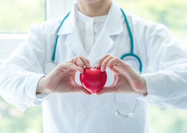 Cardiovascular disease doctor or cardiologist holding red heart in clinic or hospital exam room office for professional medical and cardiology health care service and world heart health day concept
