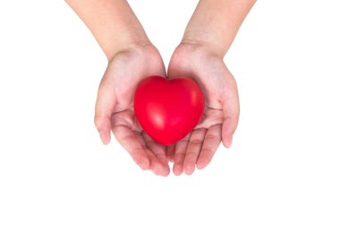 Heart in hands of young girl kid isolated on white background (clipping path) for charity donation, caregiving, give and take and caring concept clipart