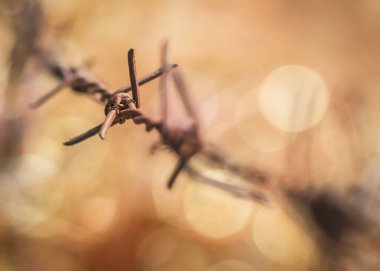 İnsan hakları ve sosyal adalet kavramı bulanık dikenli tel örgü çitleri, mum ışığı sarı altın bokeh
