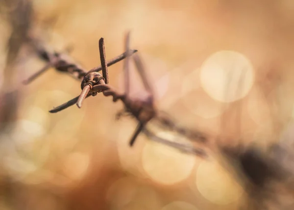 Human Rights Social Justice Abstract Concept Blurry Barbed Wire Rod — Stock Photo, Image