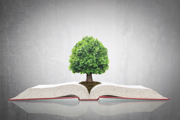 Árbol Del Conocimiento Creciendo Libro Texto Abierto Para Inversión Educativa — Foto de Stock