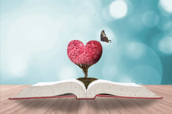 Árvore Coração Romântico Livro História Amor Convés Madeira Céu Azul — Fotografia de Stock