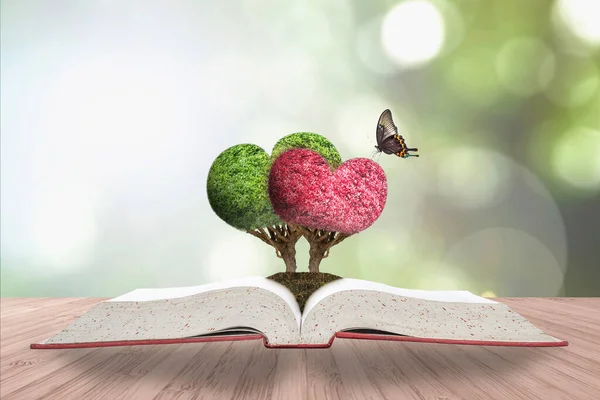 Romantico Cuore Albero Coppia Storia Amore Libro Ponte Legno Verde — Foto Stock