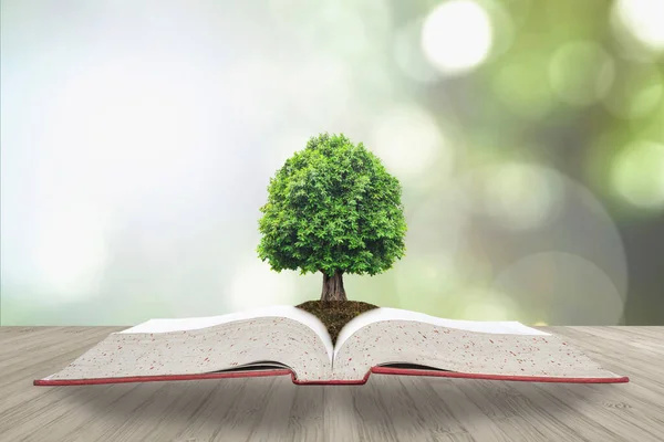 Árvore Conhecimento Vida Crescendo Solo Partir Grande Arquivo Aberto Livro — Fotografia de Stock