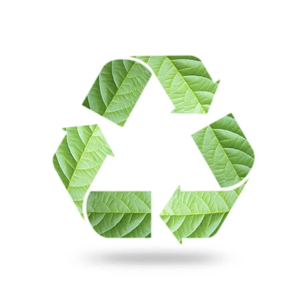 Sinal Seta Reciclagem Isolado Exposição Dupla Com Padrão Folha Verde — Fotografia de Stock