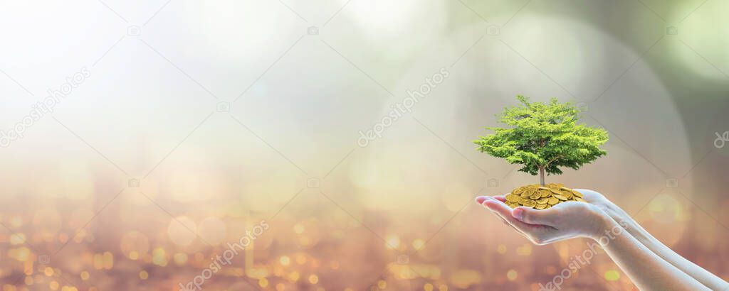 Sustainable business investment in environment, social, governance (ESG) and CSR concept in clean industry with volunteer hands holding green tree on capital fund wealth on world city bokeh background