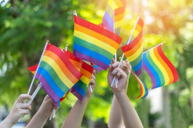 LGBT gururu veya LGBTQ + gay gururu Haziran ayında lezbiyen, gey, biseksüel ve transseksüel insan hakları sosyal eşitlik hareketleri için gökkuşağı bayrağı taşıyor