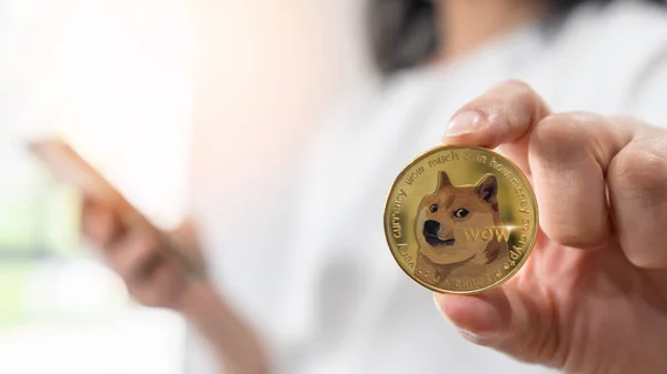 Dogecoin Doge Para Kripto Para Birimi Dijital Kripto Para Birimi — Stok fotoğraf