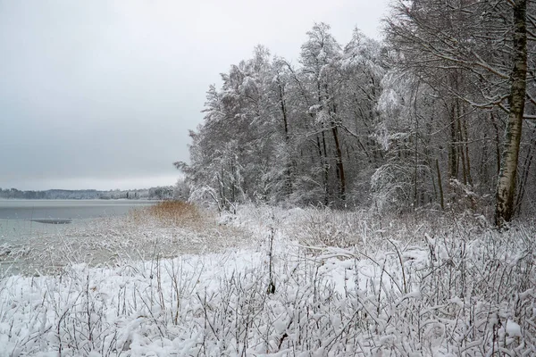 Verschneiter Winter Park — Stockfoto