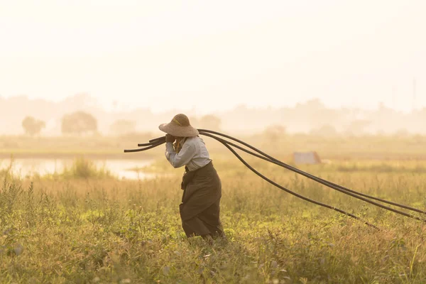 Asiatique, Fermier à la ferme Coucher de soleil — Photo