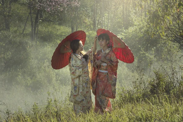 Дві дівчини у японському традиційному одязі кімоно. — стокове фото