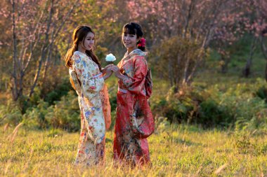 Kimono geleneksel Japon elbiseli iki kadın