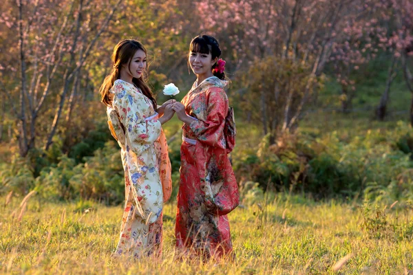 Duas mulheres em quimono vestido tradicional japonês — Fotografia de Stock