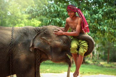 Best Friendship  Mahout with elephant  clipart