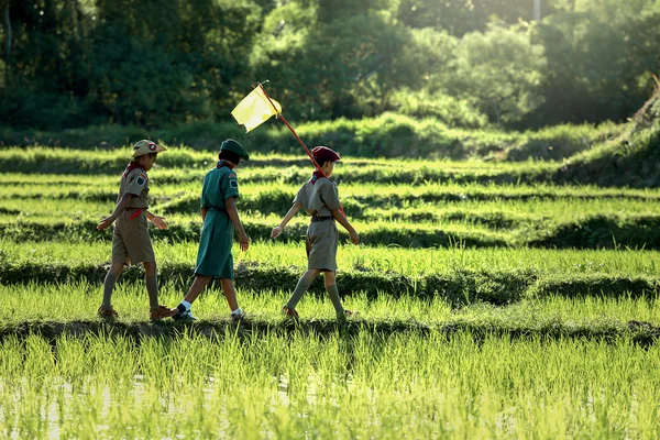 Desfile de exploradores en el campo —  Fotos de Stock