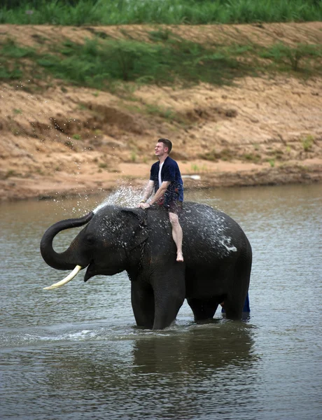 Divertimento con elefante — Foto Stock