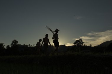 Erkek siluet grup