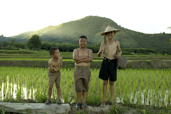 Três meninos de pé — Fotografia de Stock