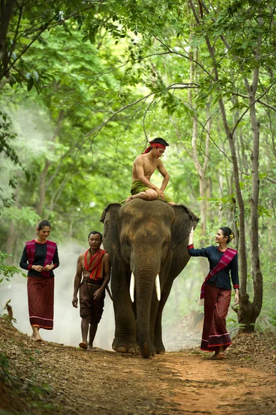 Kui bemannar i thai med elefant — Stockfoto