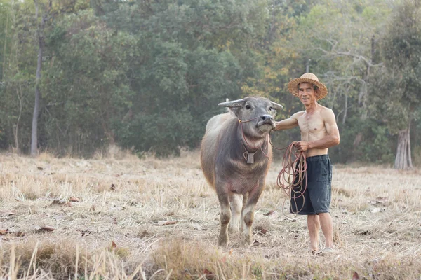 Thaifarmer i przyjaciel — Zdjęcie stockowe