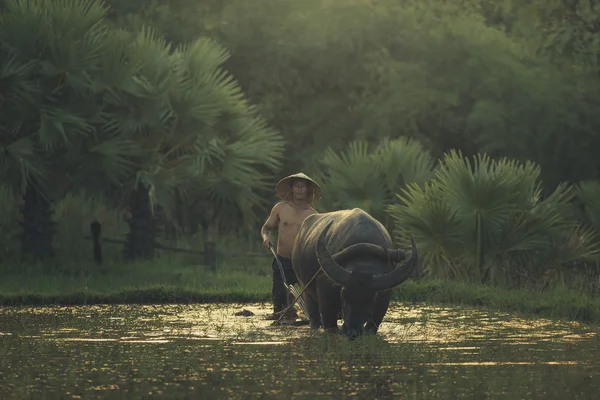 Farmer thai — Stock Photo, Image