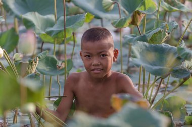 Çocuklar devam lotus gölet