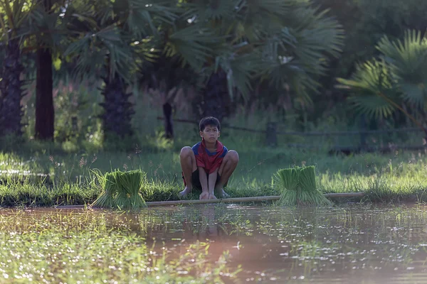 Jovens agricultores — Fotografia de Stock