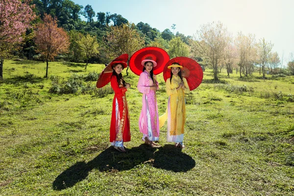 Retrato de vietnam — Fotografia de Stock