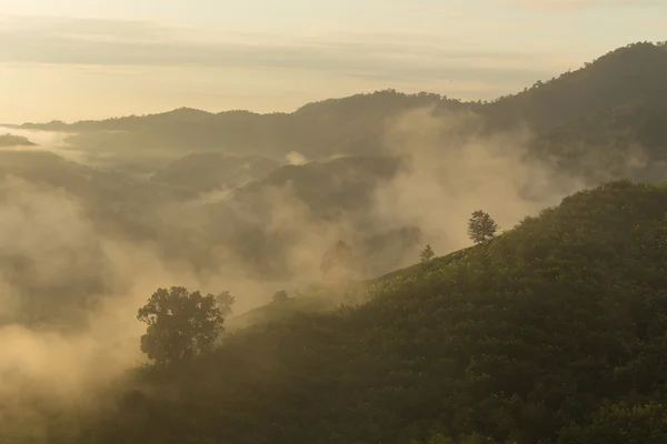 Sabah dağda — Stok fotoğraf
