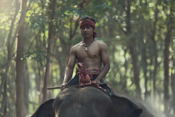 Mahout riding on elephant back — Stock Photo, Image