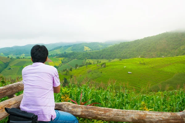 manzara görünümü çiftlik Mae Chaem Chiang sabah sis ile