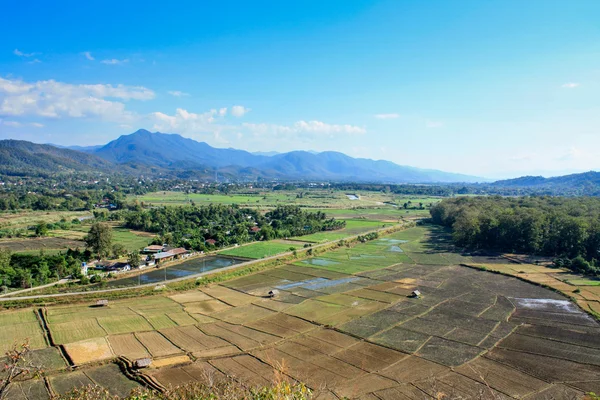 Ein natürliches Feld von mae hong son, thailand. — Stockfoto