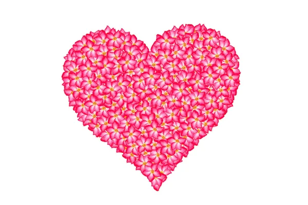Floral red heart — Stock Photo, Image