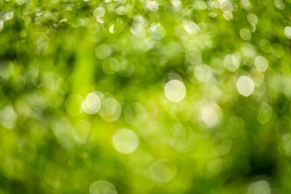 yeşil arka plan bulanıklık