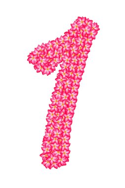 çiçeklerden yapılmış bir numara